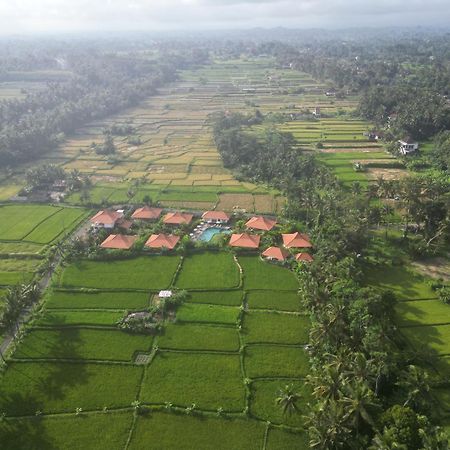 Kampung Uma Dawa Villas And Spa Ubud Exteriér fotografie
