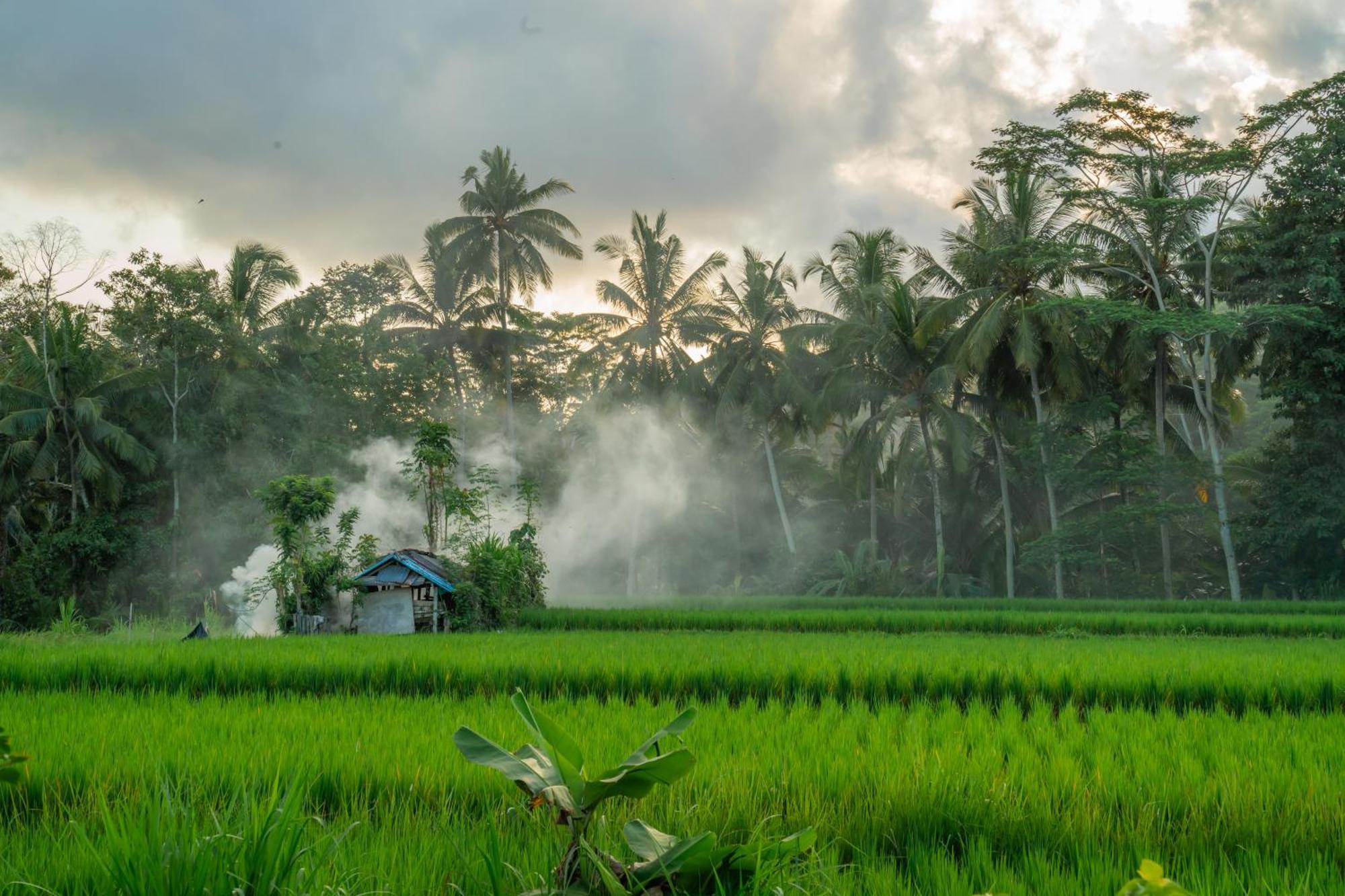 Kampung Uma Dawa Villas And Spa Ubud Exteriér fotografie