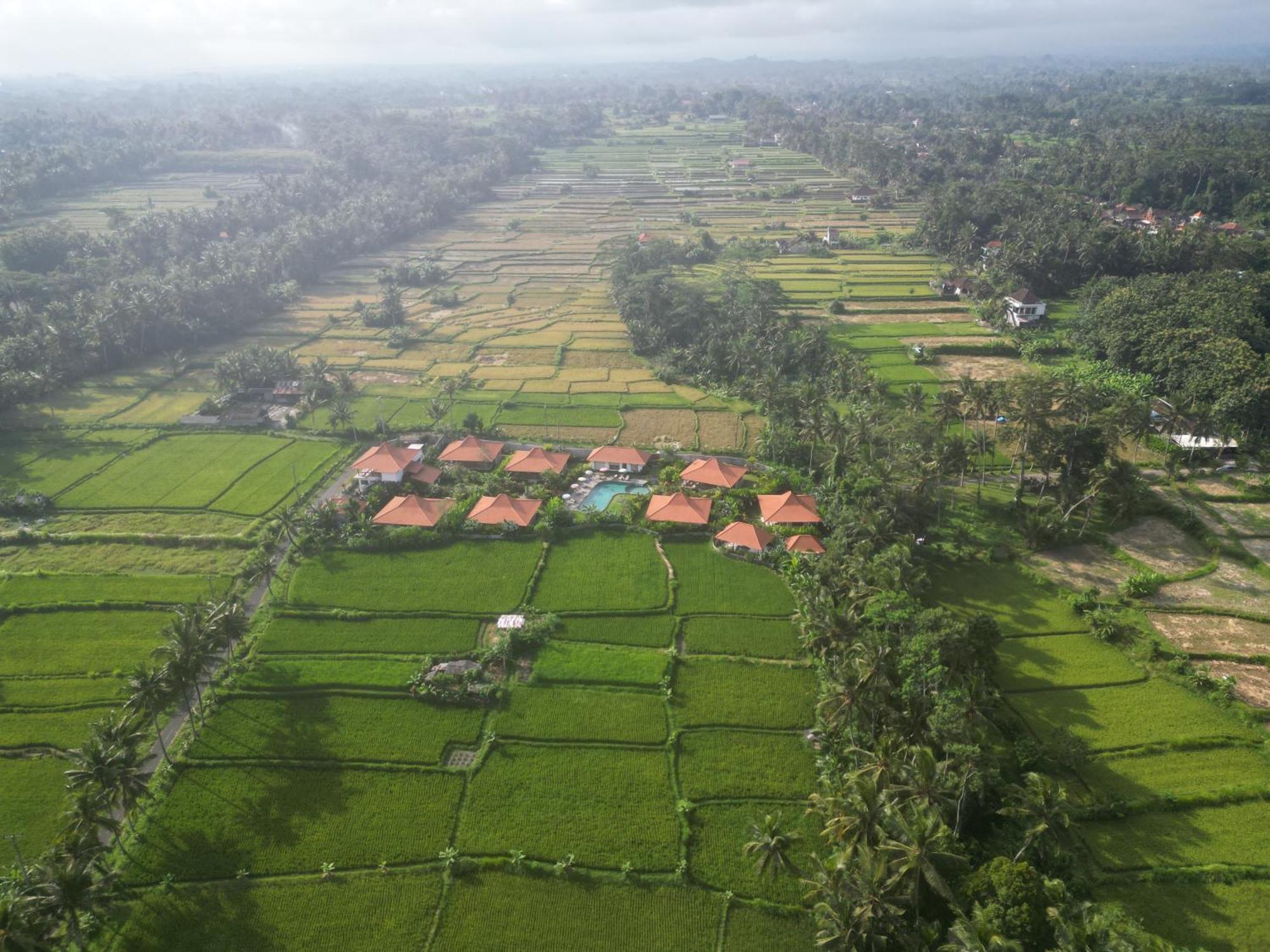 Kampung Uma Dawa Villas And Spa Ubud Exteriér fotografie