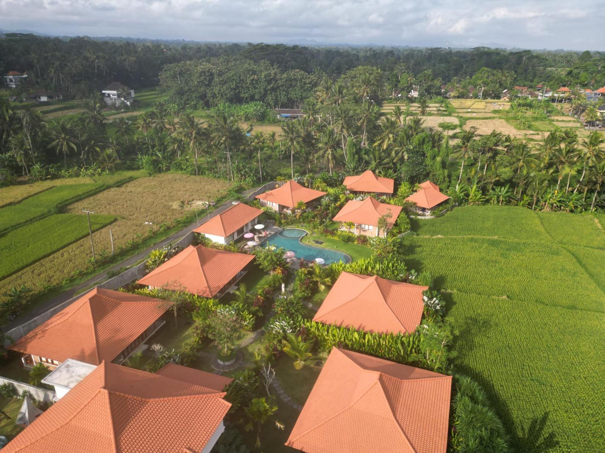 Kampung Uma Dawa Villas And Spa Ubud Exteriér fotografie