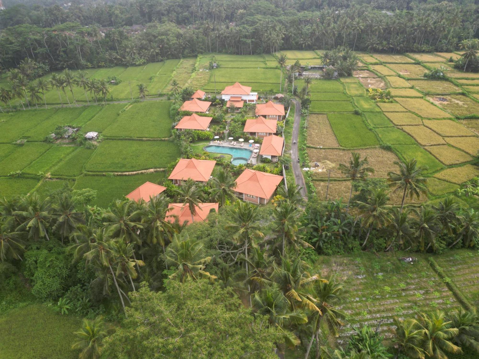 Kampung Uma Dawa Villas And Spa Ubud Exteriér fotografie